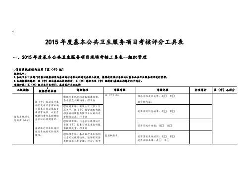 基本公共卫生考核评分工具表