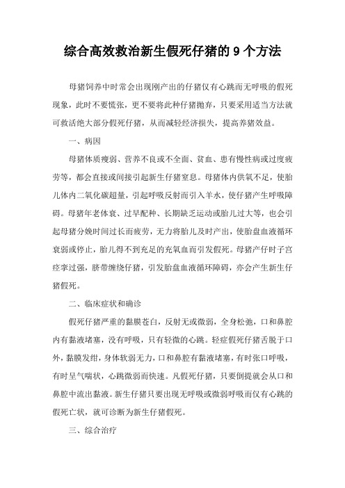 综合高效救治新生假死仔猪9个方法
