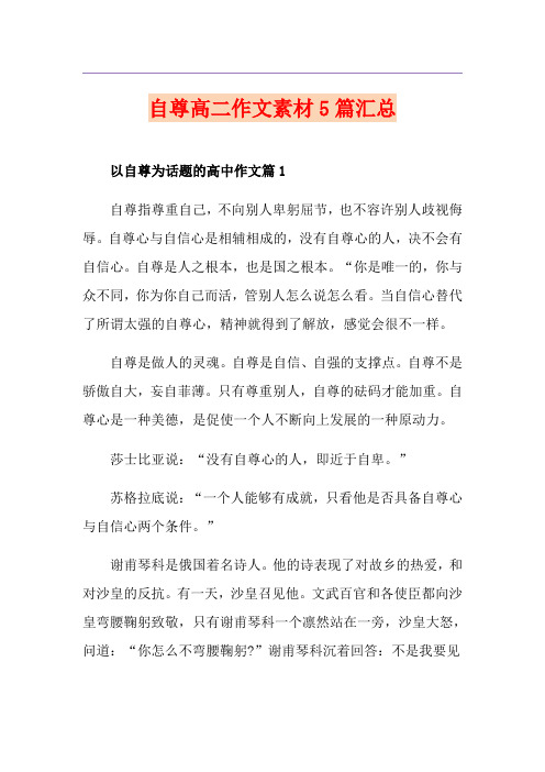 自尊高二作文素材5篇汇总