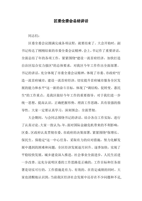 区委全委会总结讲话