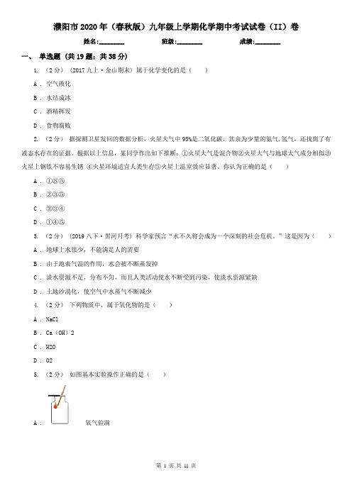 濮阳市2020年(春秋版)九年级上学期化学期中考试试卷(II)卷