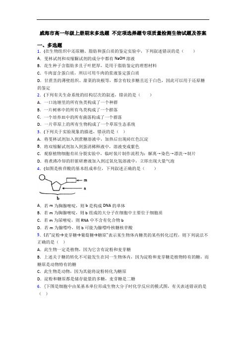 威海市高一年级上册期末多选题 不定项选择题专项质量检测生物试题及答案