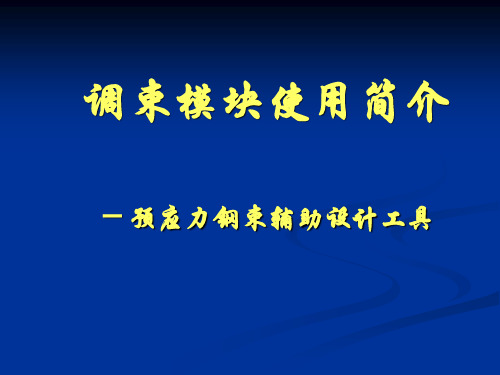 桥梁博士调束详解