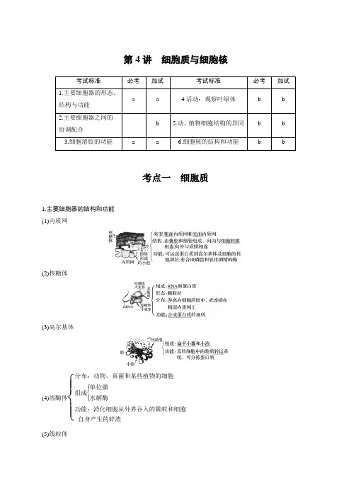 高考生物一轮浙江选考总复习：第一单元   细胞的分子组成与结构 第4讲(第一单元 第4讲)