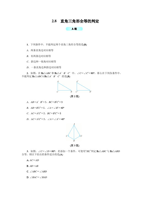 《2.8直角三角形的全等判定》基础训练(含答案)