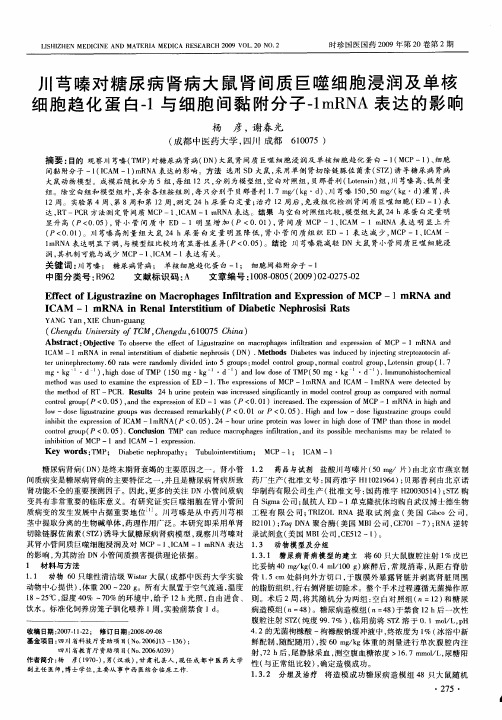 川芎嗪对糖尿病肾病大鼠肾间质巨噬细胞浸润及单核细胞趋化蛋白-1与细胞间黏附分子-1mRNA表达的影响