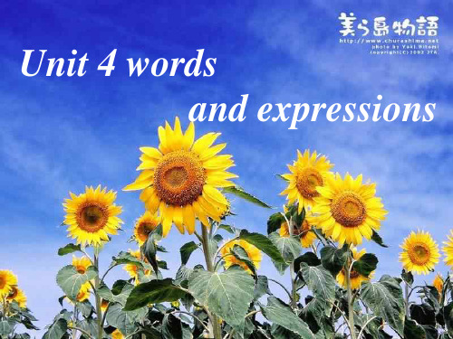 高二英语unit4EnglishpoetrywordsPPT课件