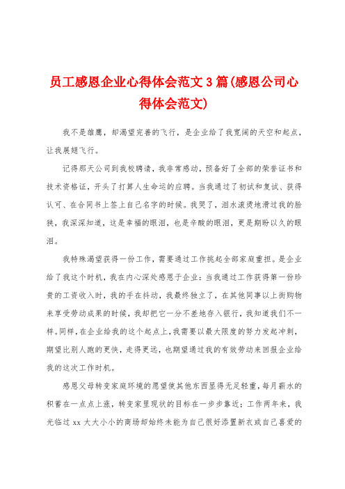 员工感恩企业心得体会范文3篇(感恩公司心得体会范文)