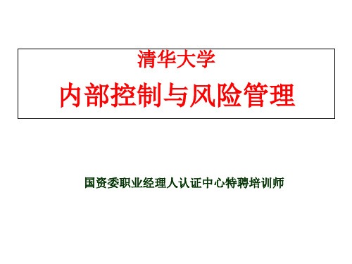 清华大学的内部控制和风险管理精品PPT课件