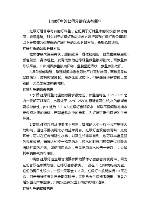 红绿灯鱼的公母分辨方法有哪些