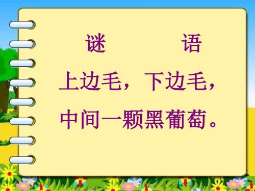 湘教版 一年级美术上册 4大眼睛  优质PPT课件