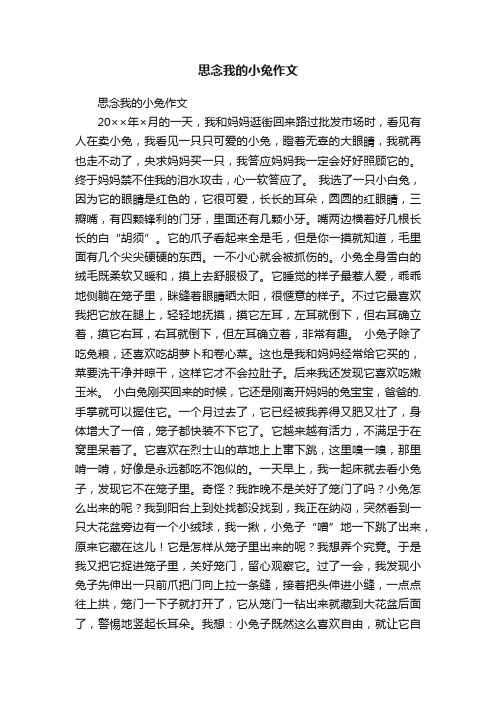 思念我的小兔作文