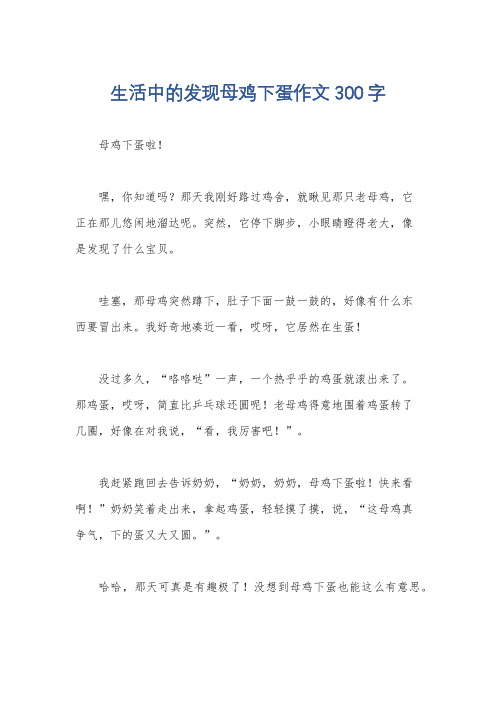 生活中的发现母鸡下蛋作文300字