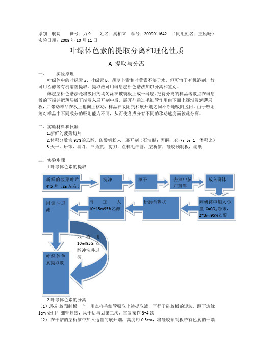 叶绿体色素的提取分离和理化性质