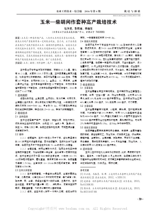 玉米柴胡间作套种高产栽培技术