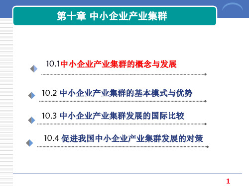 中小企业管理 第10章 产业集群NEW.ppt