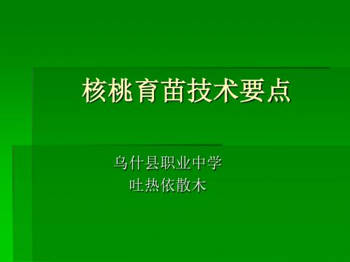 核桃育苗技术要点