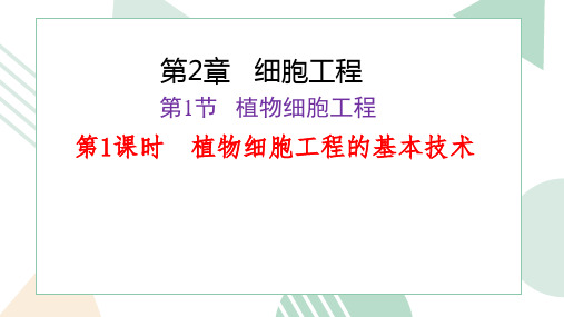 2.(1)植物细胞工程的基本技术课件高二下学期生物人教版选择性必修3