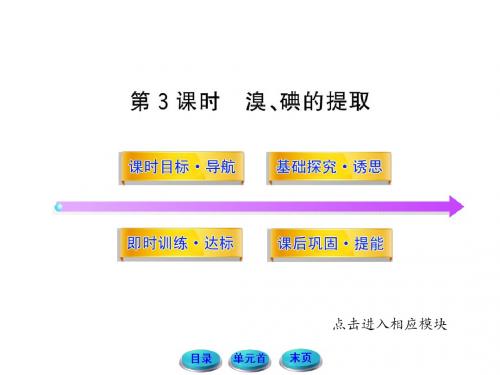 11-12版高中化学课时讲练通配套课件：2.1.3溴、碘的提取(苏教版必修1)