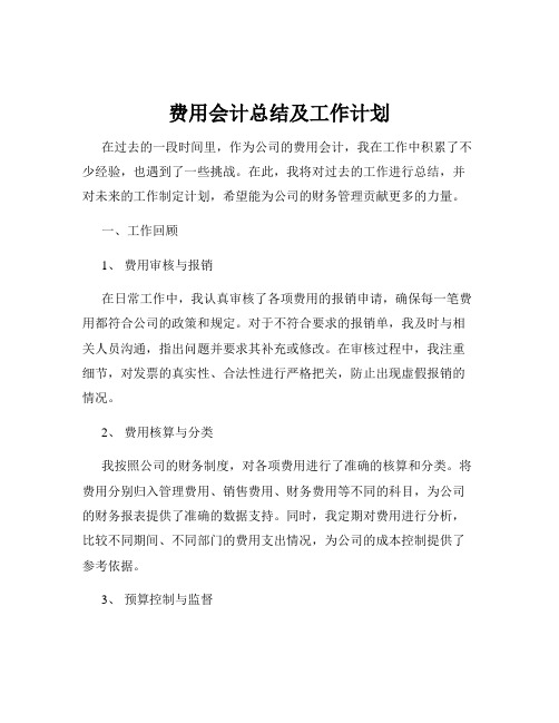 费用会计总结及工作计划