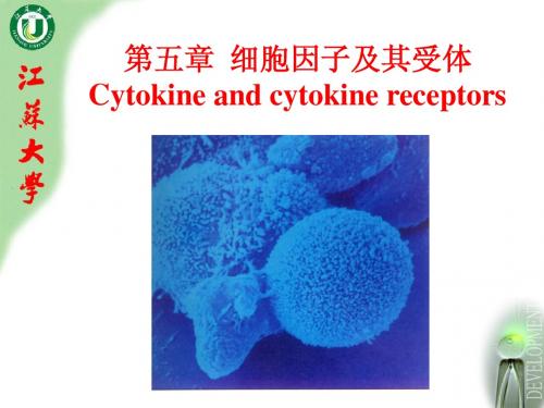 06 第六、七章 细胞因子和白细胞分化抗原概述