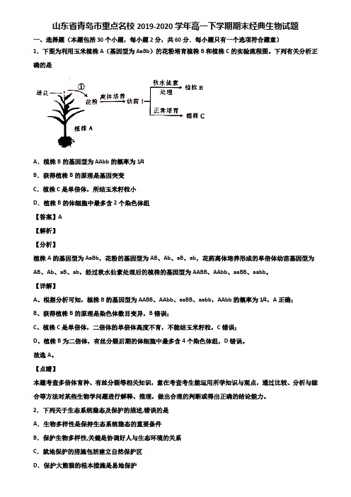 山东省青岛市重点名校2019-2020学年高一下学期期末经典生物试题含解析