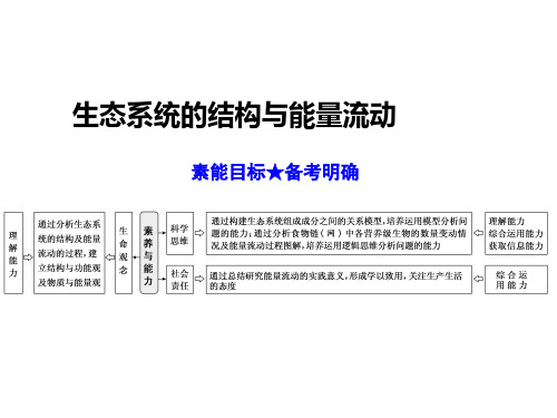 2022年高三总复习生物课件 生态系统的结构与能量流动