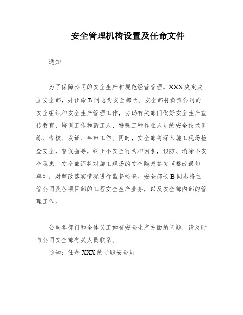 安全管理机构设置及任命文件