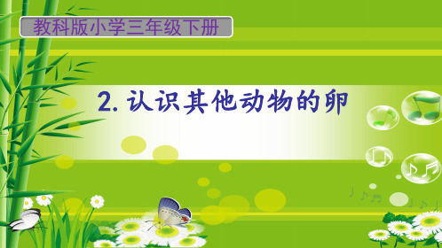 教科版三年级下册科学《认识其他动物的卵》教学课件ppt