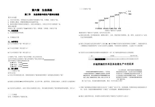 浙教版高中生物必修三第六章 生态系统 第二节 生态系统中的生产量和生物量导学案设计(无答案)