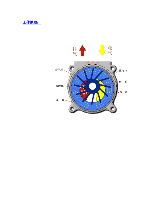 水环真空泵工作原理