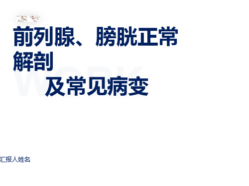 前列腺、膀胱正常解剖及常见病变