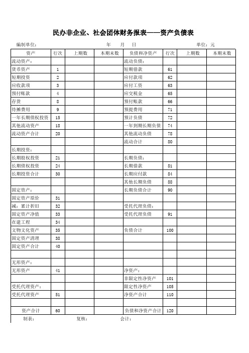 社会团体财务报表-资产负债表+业务活动表+现金流量表+现金日记账 (1)