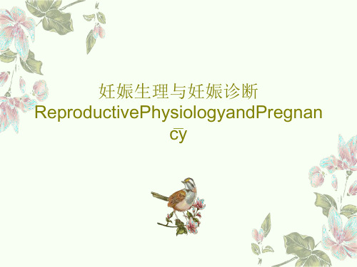 妊娠生理与妊娠诊断ReproductivePhysiologyandPregnancy共26页PPT