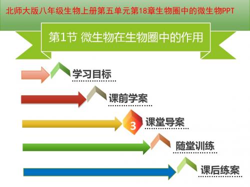 北师大版八年级生物上册第五单元第18章生物圈中的微生物PPT