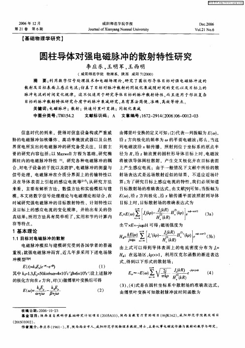 圆柱导体对强电磁脉冲的散射特性研究