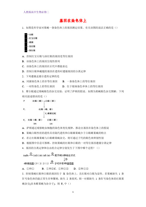 高中生物必修二课时作业29：2.2 基因在染色体上