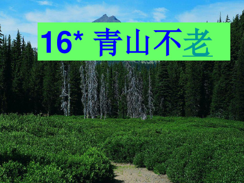 16《青山不老》