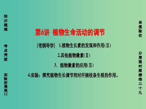 高考生物一轮复习 第8单元 个体水平的生命活动调节 第6讲 植物生命活动的调节课件