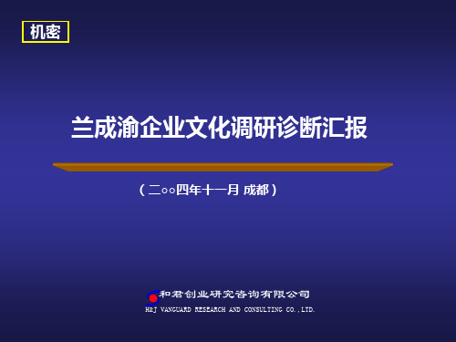 【企业诊断】兰成渝诊断报告(30)