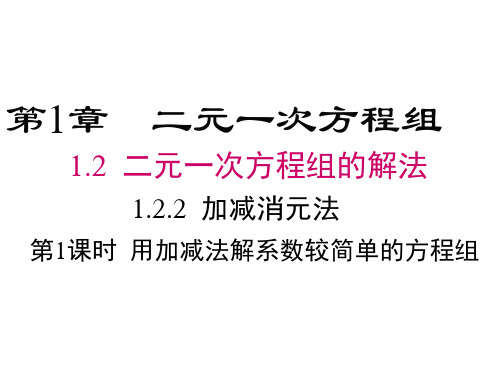 湘教版数学七年级下册1.2.2《加减消元法》课件2