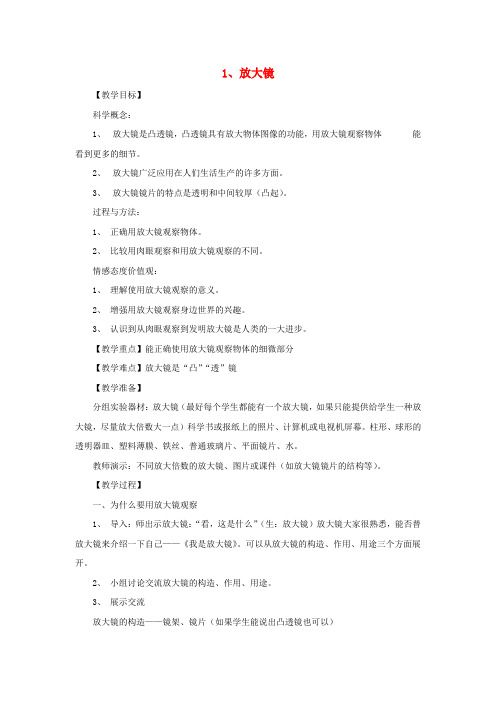 六年级科学下册 放大镜教案 教科版