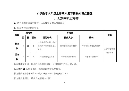 小学数学六年级上册期末复习资料知识点整理(新)