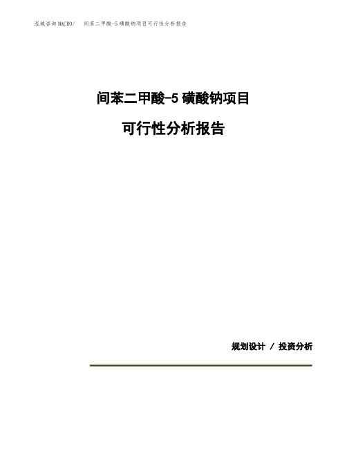 间苯二甲酸-5磺酸钠项目可行性分析报告(模板参考范文)