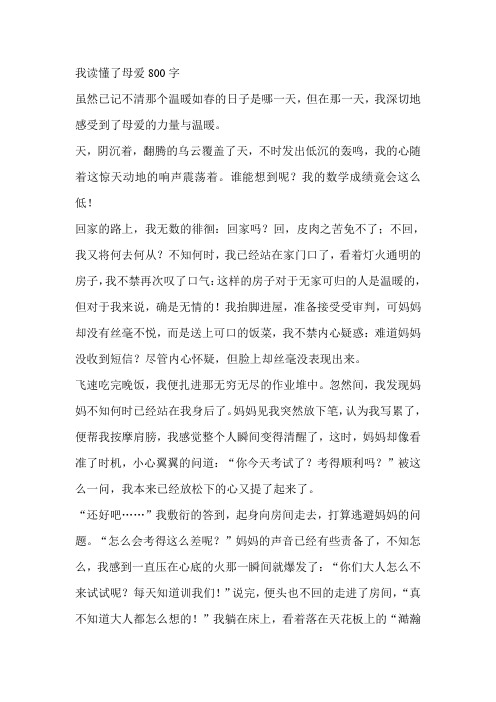 我读懂了母爱800字