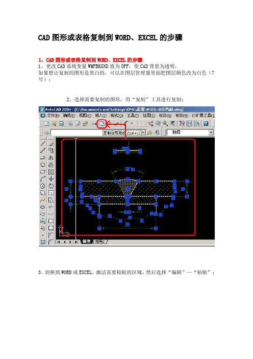 CAD图形或表格复制到WORD、EXCEL的步骤