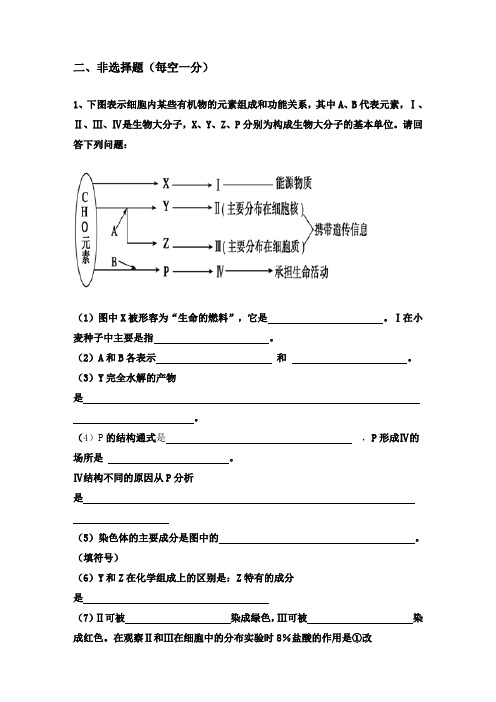 高三生物理综非选择题练习