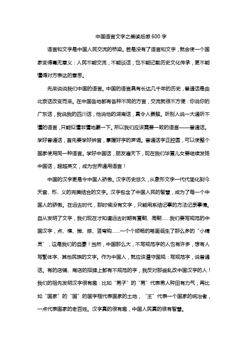 中国语言文字之美读后感600字