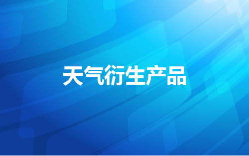 天气衍生品演示PPT资料