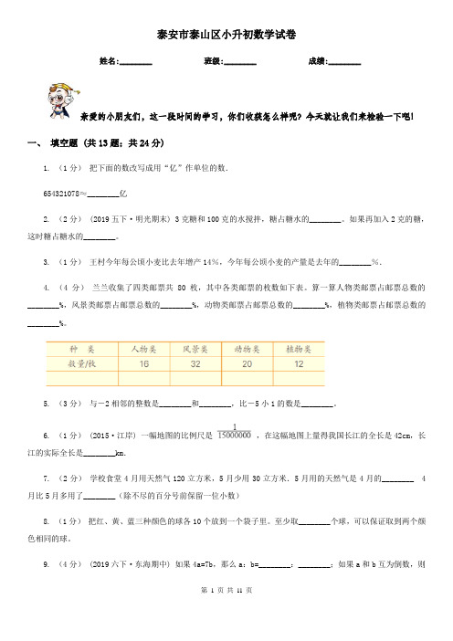 泰安市泰山区小升初数学试卷